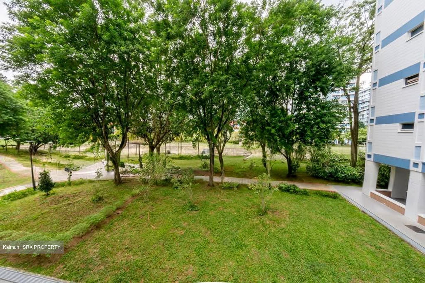 Blk 549 Pasir Ris Street 51 (Pasir Ris), HDB Executive #588034591